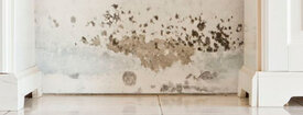 SERVICEMASTER EMERGENCY RESTORATION EXPERTS PROVIDES RESIDENTIAL MOLD REMEDIATION SERVICES